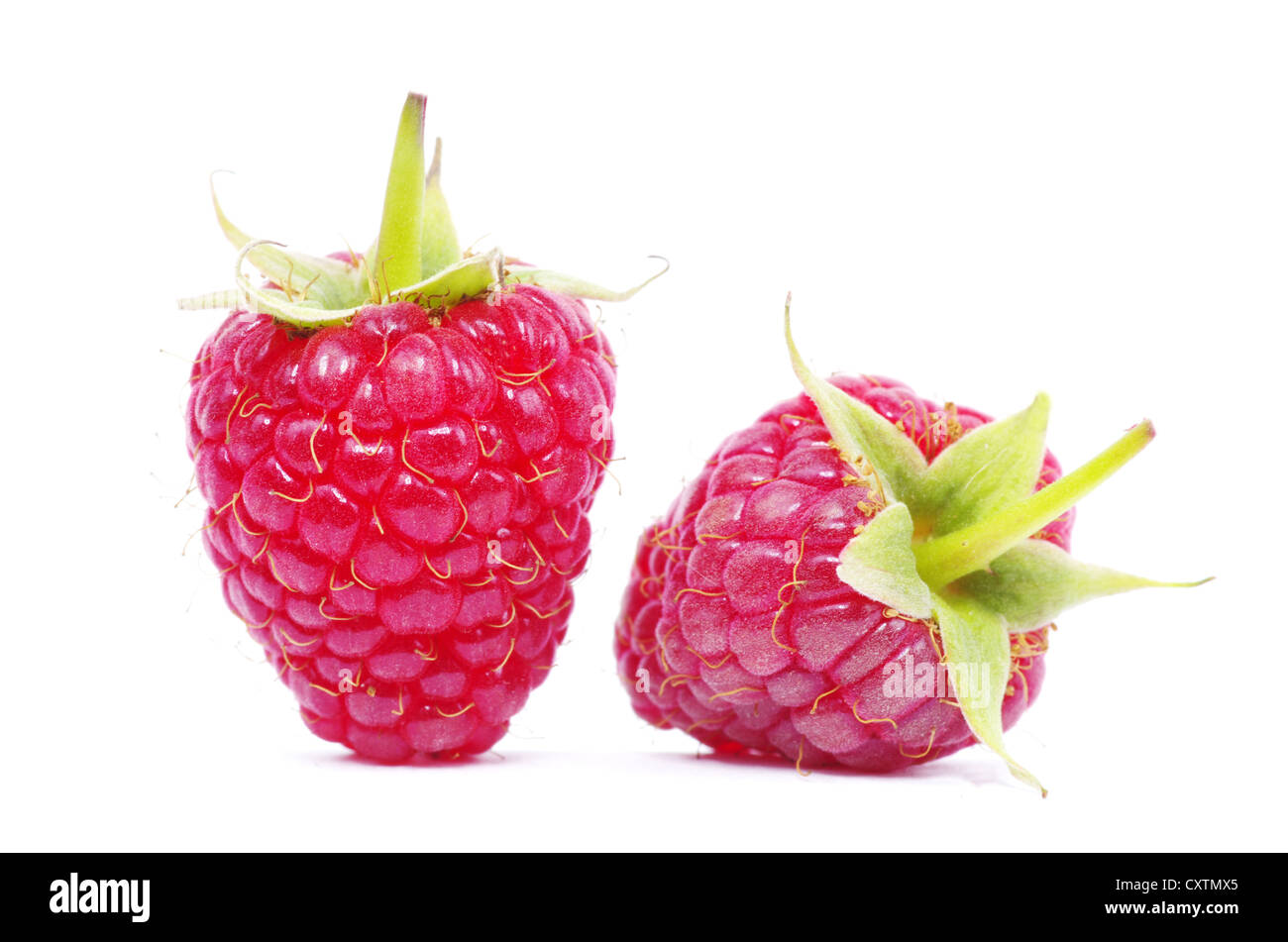 raspberry isolated on white background Stock Photo - Alamy