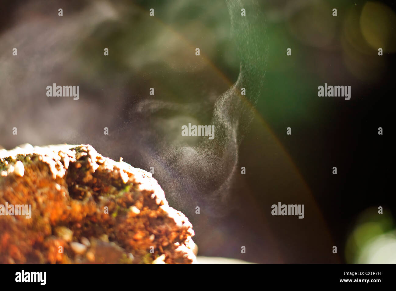 Steam rising from a wooden log Stock Photo - Alamy