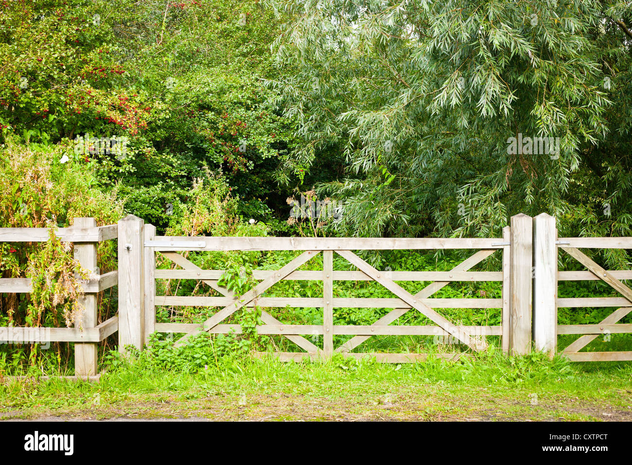 A wooden gate and fence in rural woodland Stock Photo - Alamy