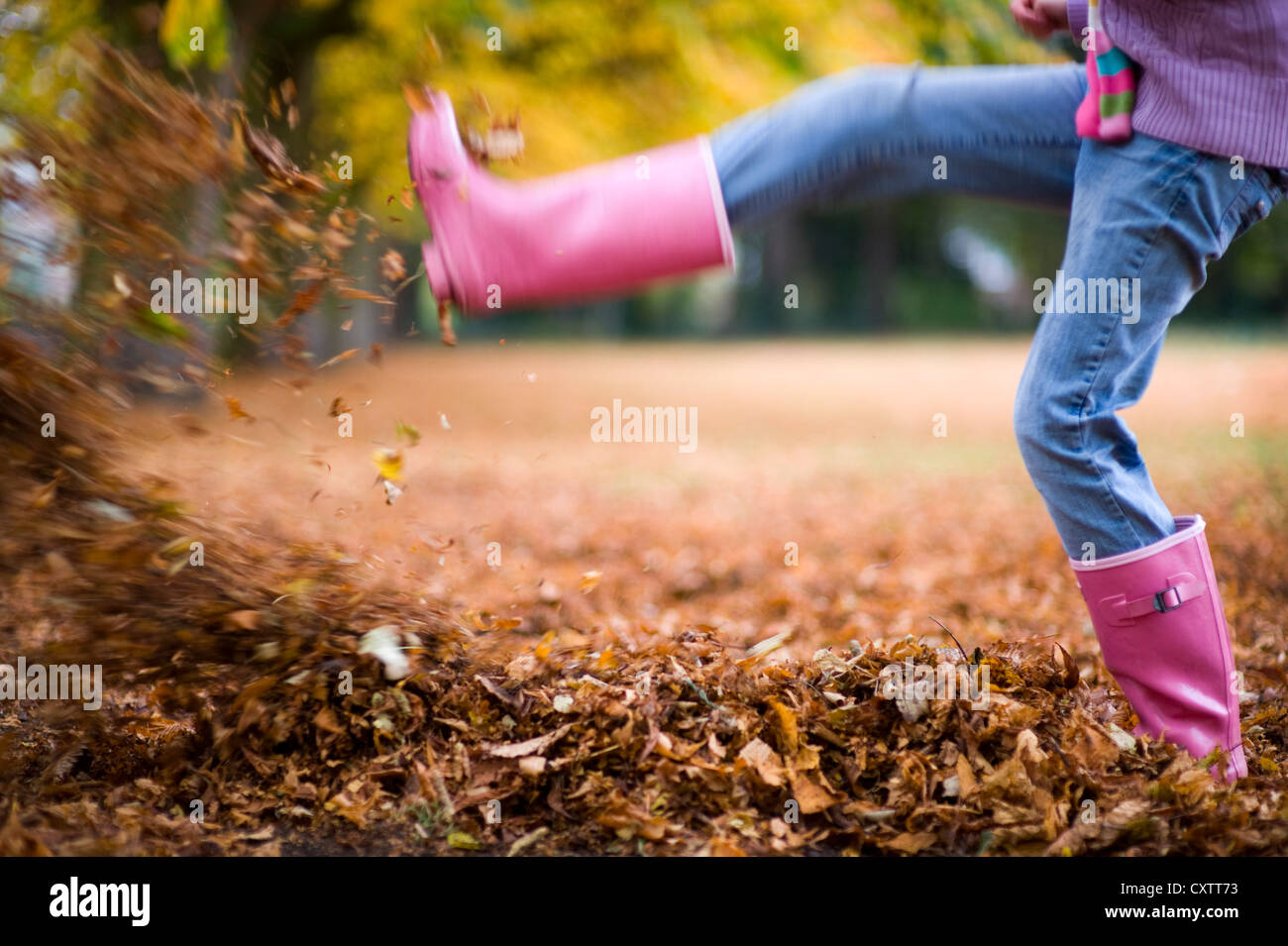 girl in pink gum boots kicking fallen autumn or fall leaves Stock Photo