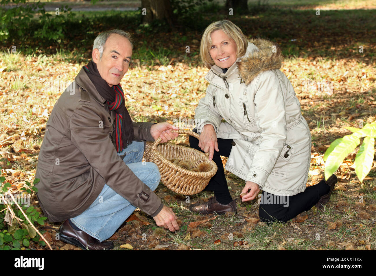 senior couple on a walk in the park Stock Photo - Alamy