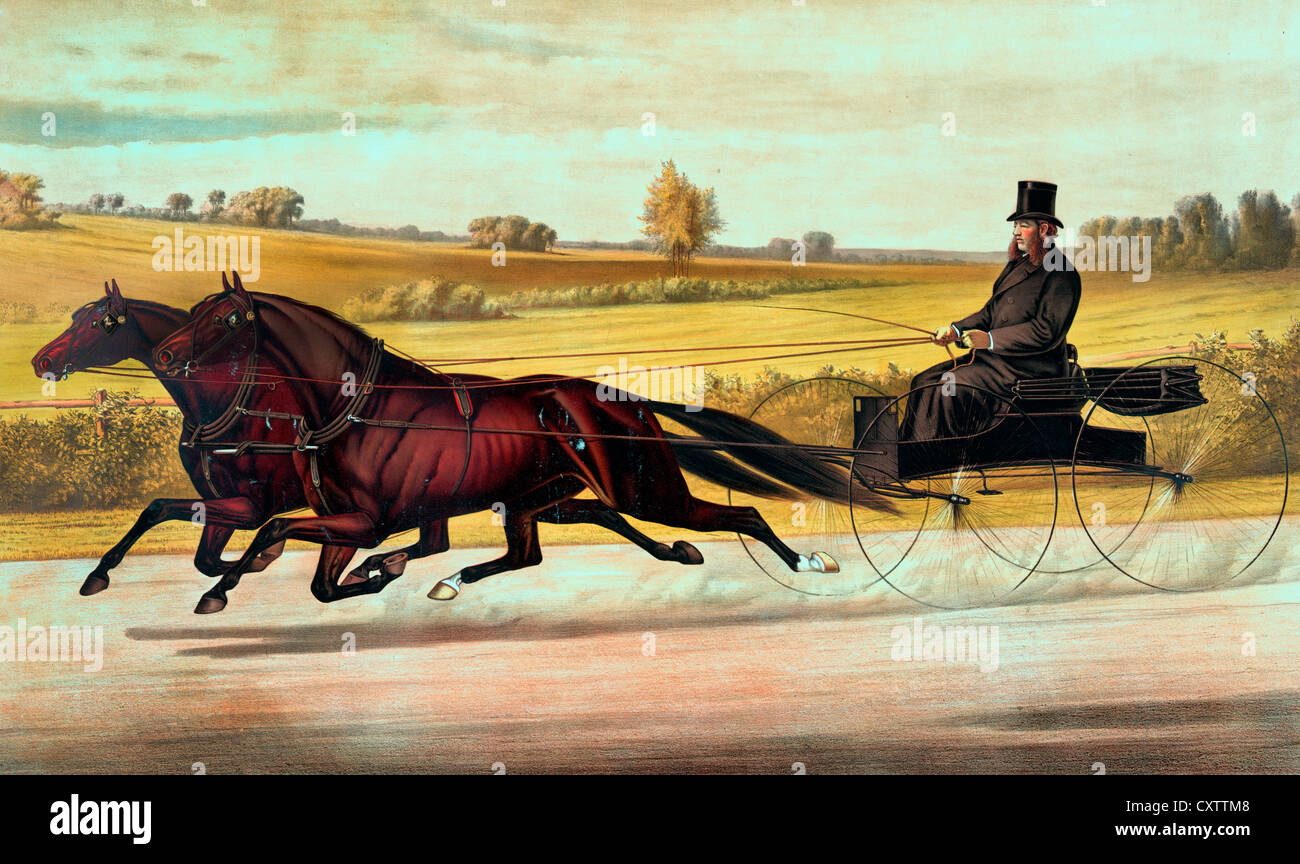 Mr. William H. Vanderbilt's celebrated team Small Hopes and Lady Mac: driven by their owner to road-wagon, time 2:23, circa 1877 Stock Photo