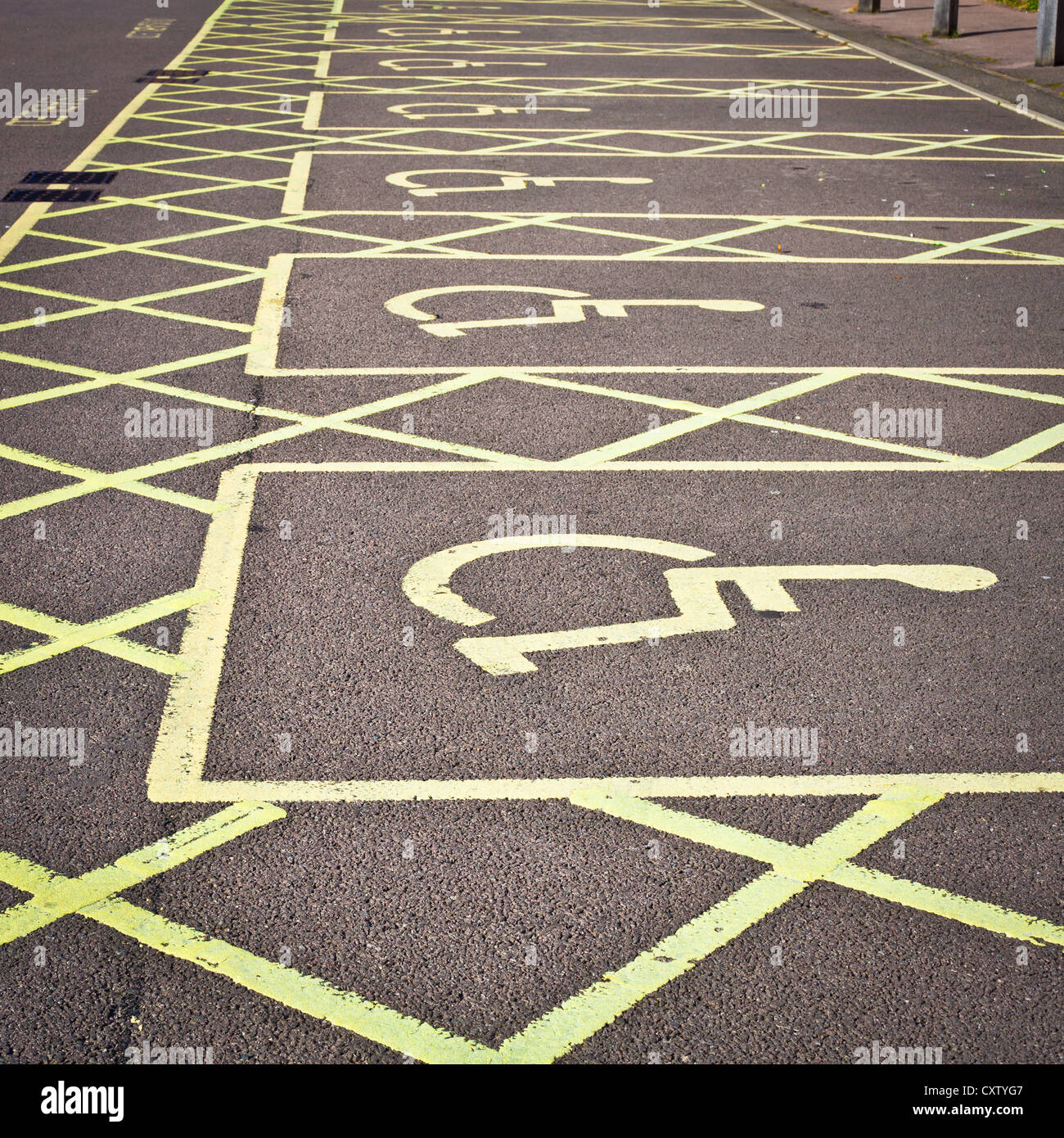 Row of empty disabled parking spaces in a parking lot Stock Photo