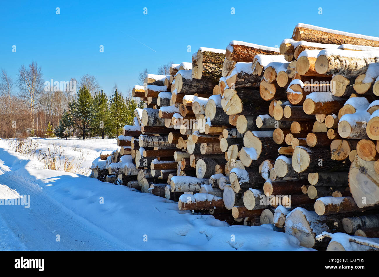 Рубить дрова. На зиму заготовили 2 4 м березовых и 1. Зимняя пилорама. Строевой лес. Заготовка дров в лесу зимой.