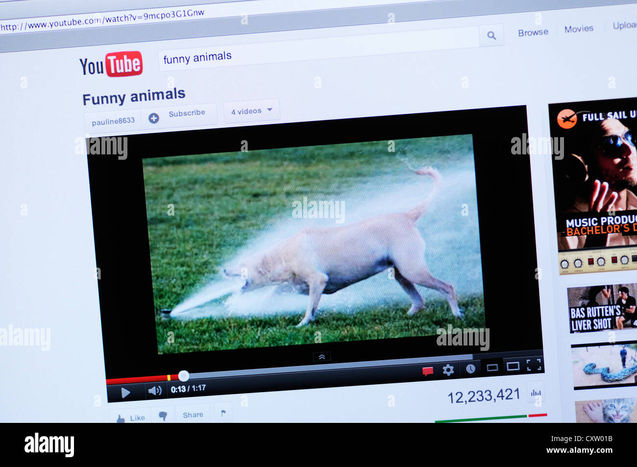 YouTube website - online video of funny animals Stock Photo - Alamy