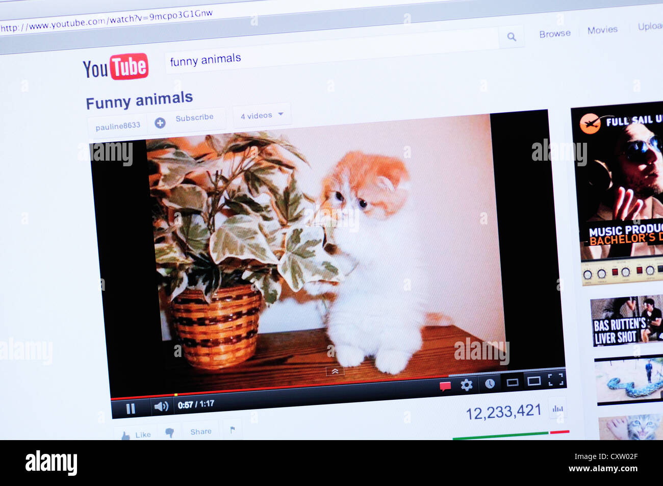 Funny cat video clearance sail