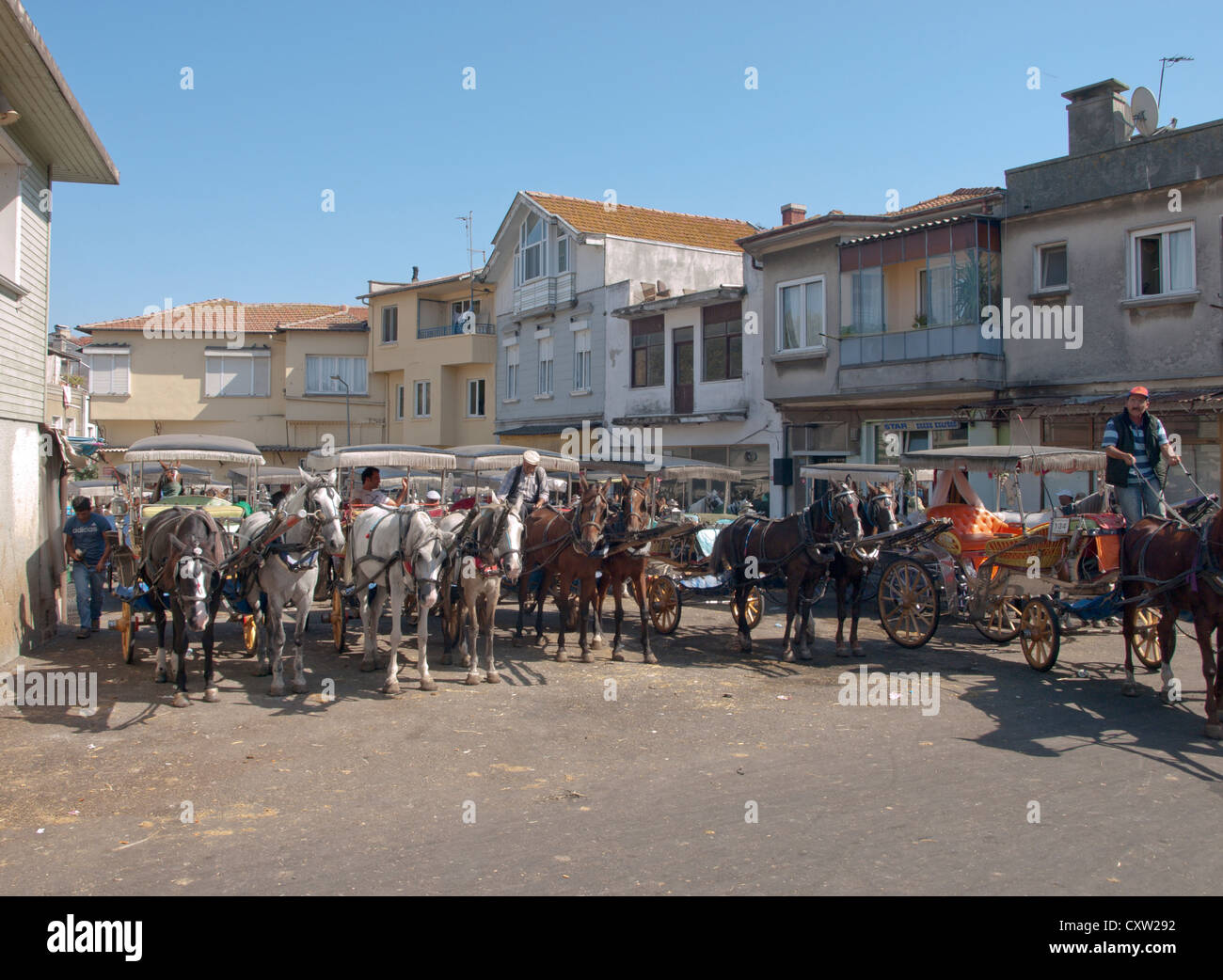Horse and phaeton carriage is the main public transportation for visitors to Buyukada Turkey. Main taxi stop in the morning. Stock Photo