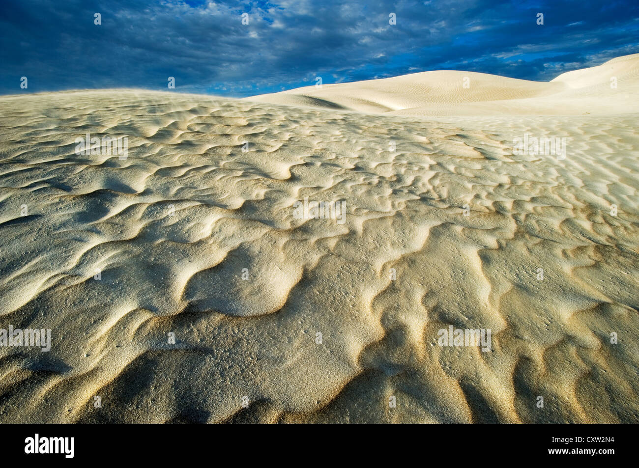 Rippled sand dune in evening light at Fowlers Bay. Stock Photo