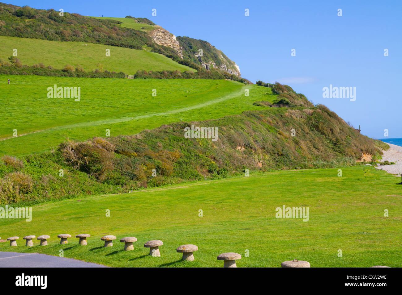 South West Coastal Path at Branscombe located within the East Devon Area of Outstanding Natural Beauty Stock Photo