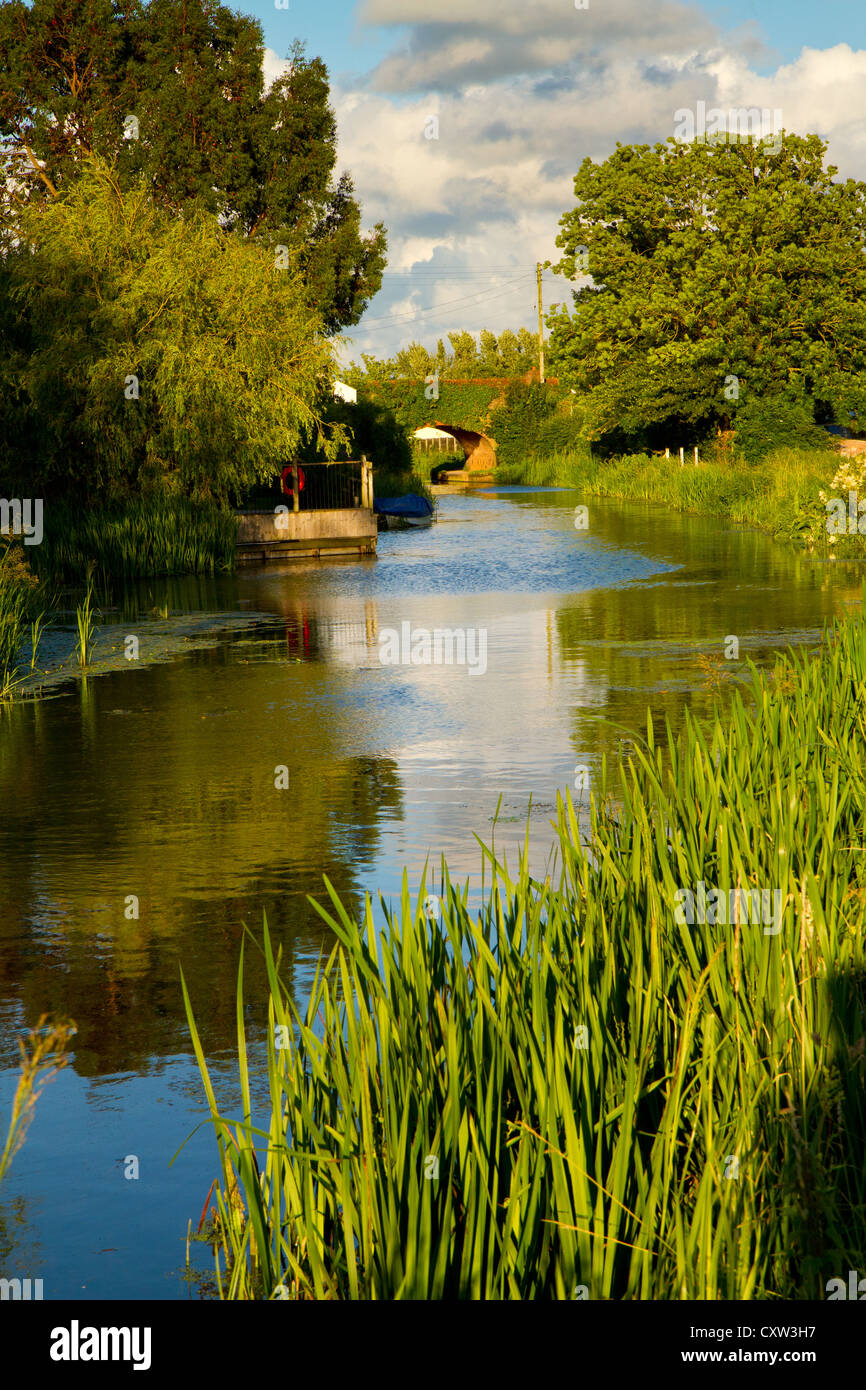 Canal Somerset England.  Brdgwater and Taunton. Stock Photo