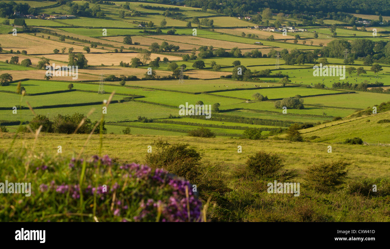 Patchwork fields in Somerset, England.  View from Crook Peak. Stock Photo