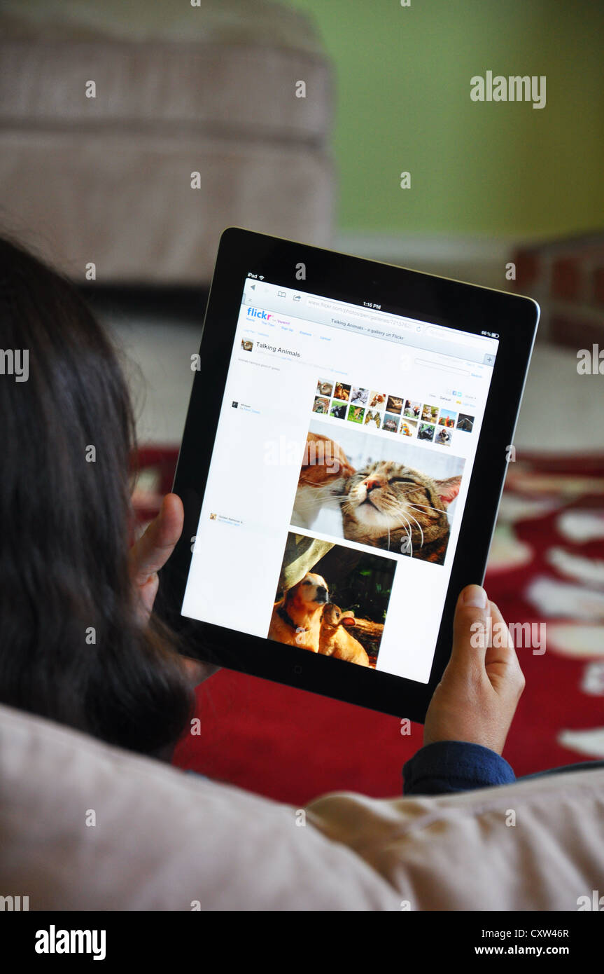 Young girl with iPad sitting on sofa at home. Flickr website shown on the iPad screen. Stock Photo