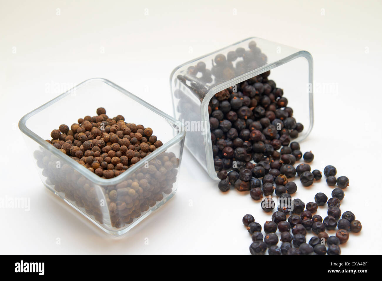 Pimento and Juniper berries in a glasbowl Stock Photo Alamy