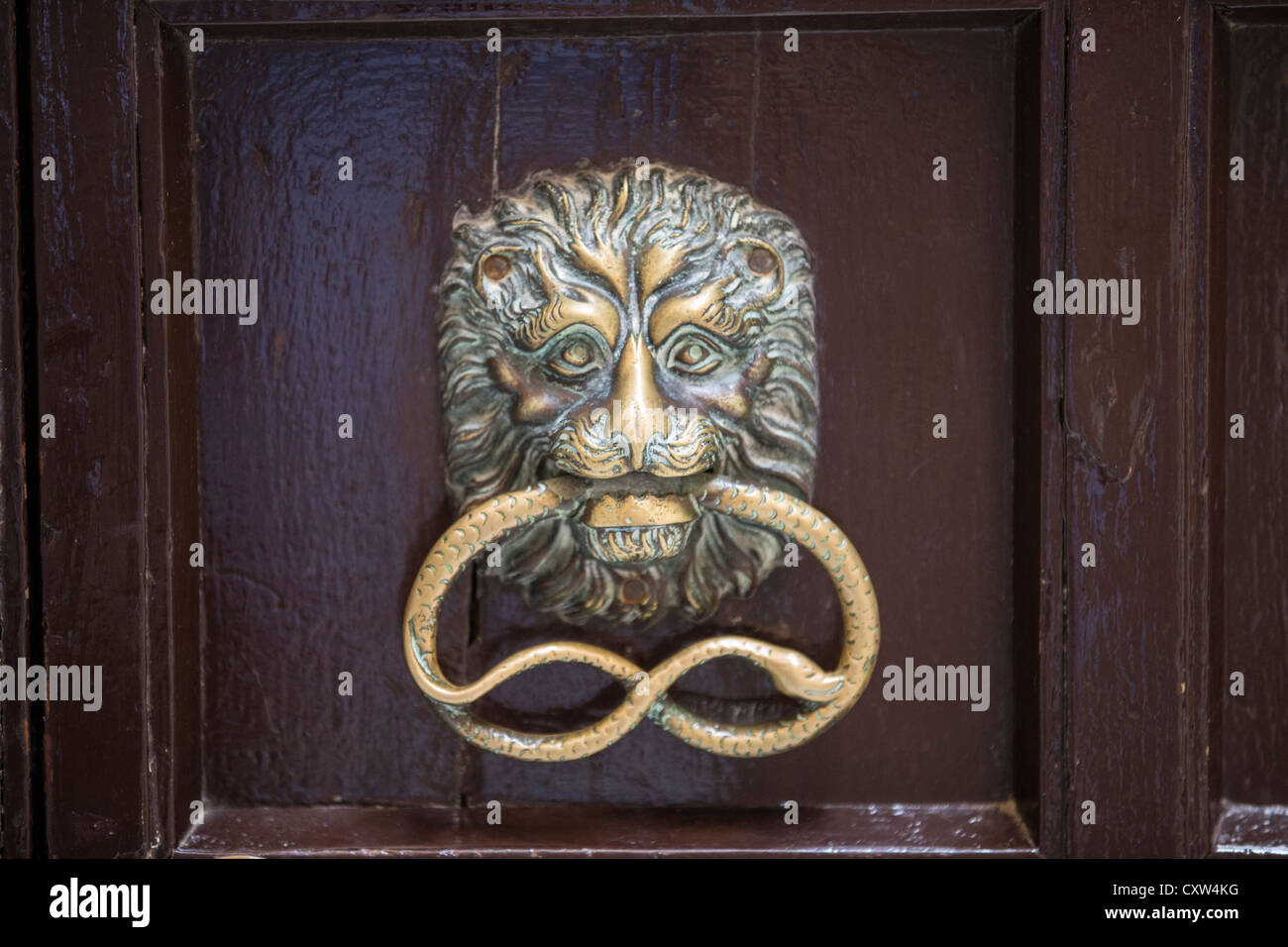 A Brass Door Knocker In The Form Of A Lion S Head Holding A Snake