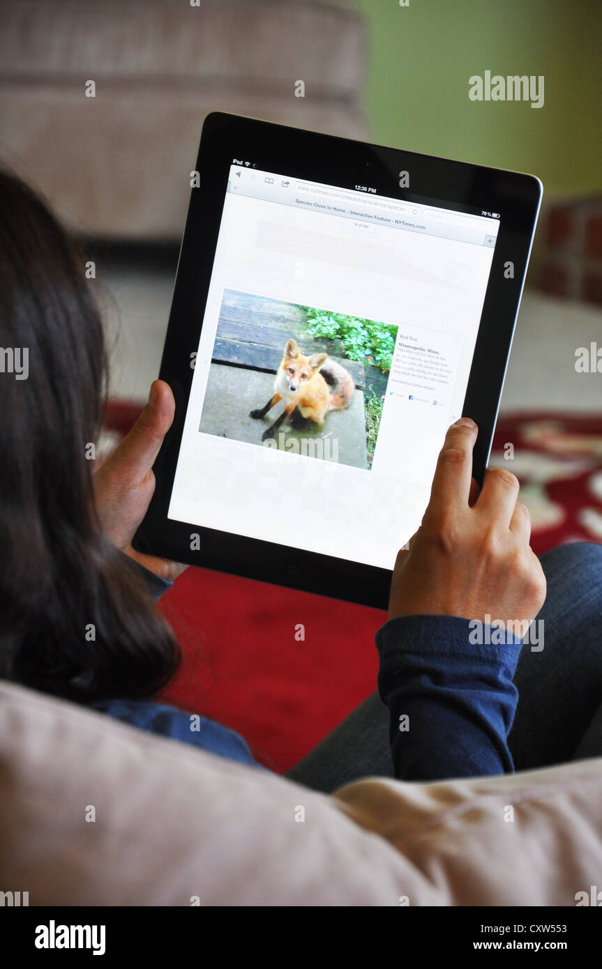 Young girl with iPad sitting on sofa at home. Funny photos website shown on the iPad screen. Stock Photo