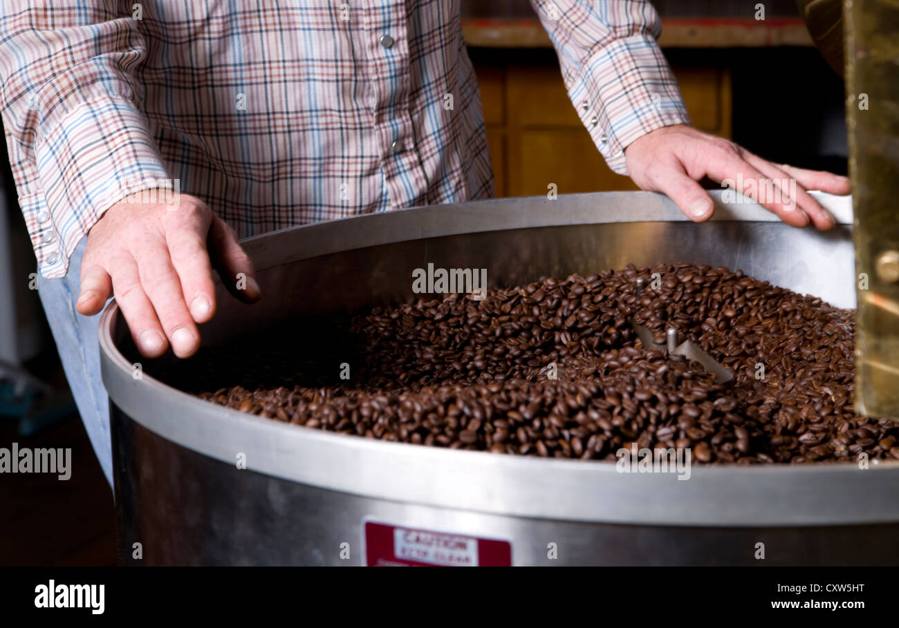 A coffee roaster labors over the cooling bin Stock Photo