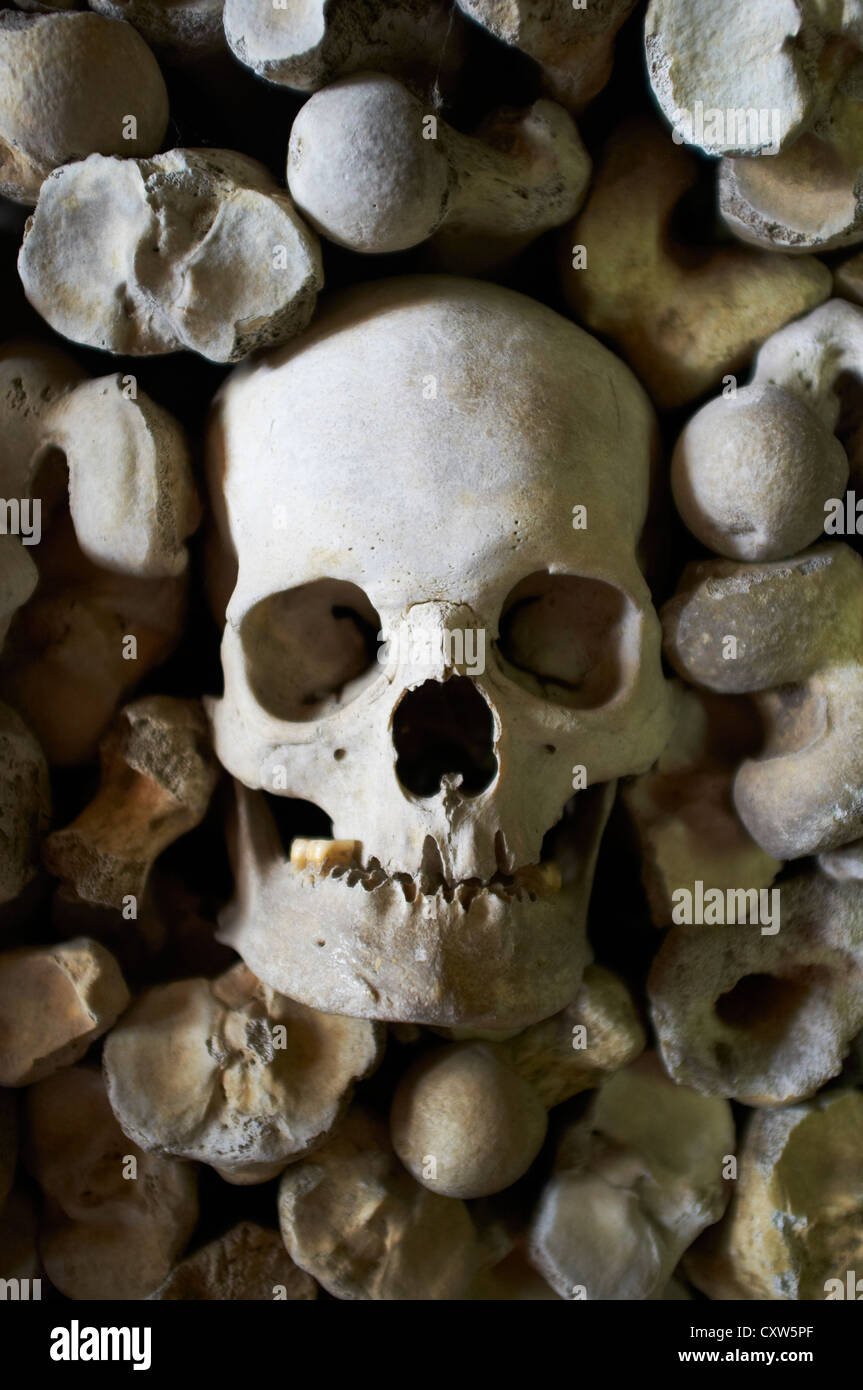 Human bones in the crypt of St Leonard's Church Hythe Kent UK Stock Photo