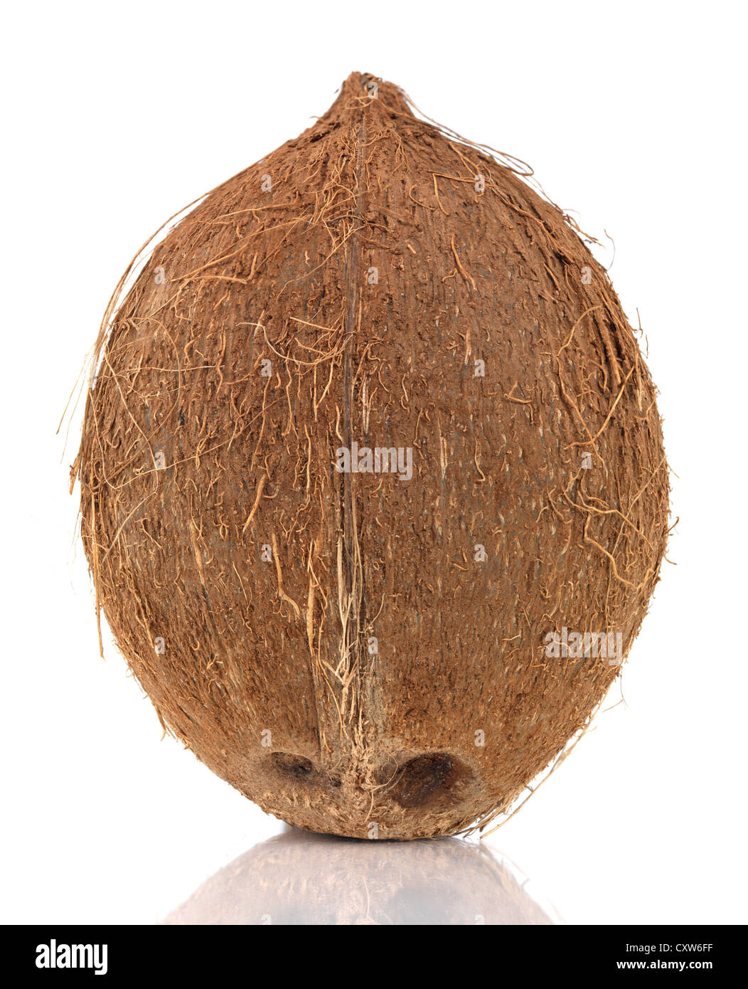 Coconut isolated on white background Stock Photo