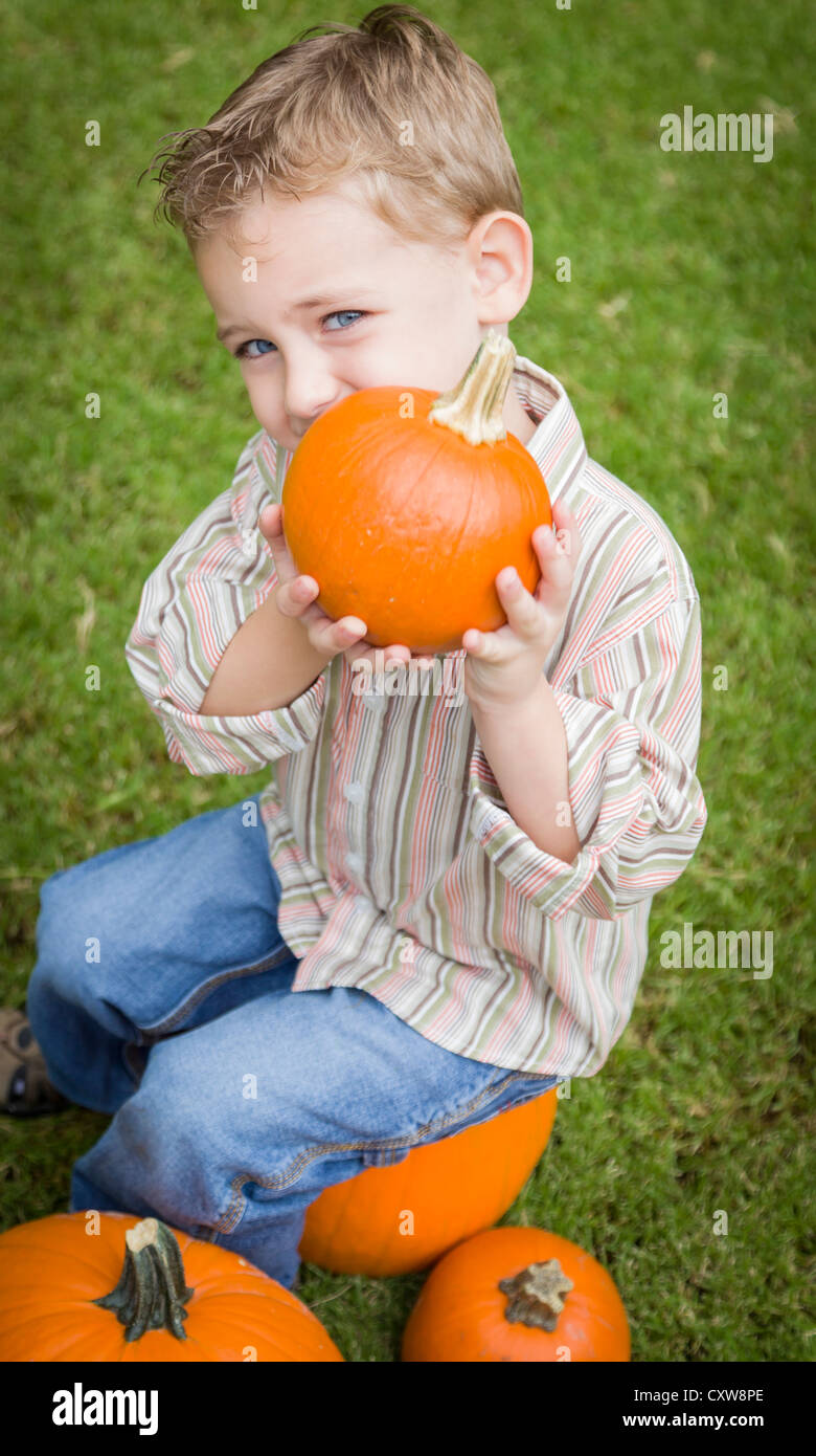 Adorable Young Child Boy Enjoying the Pumpkins at the Pumpkin Patch ...