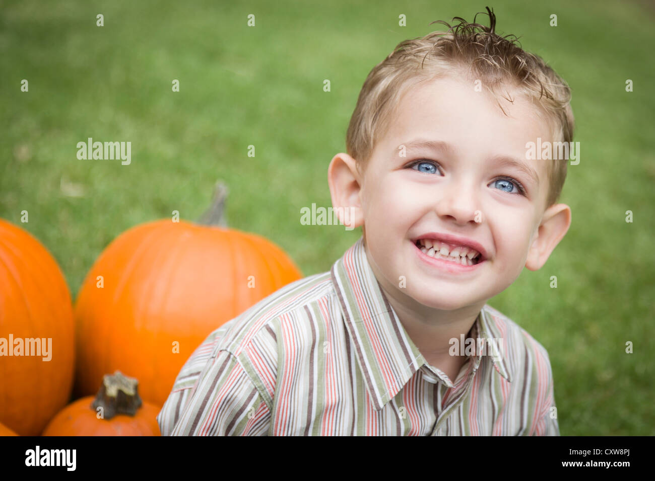 Adorable Young Child Boy Enjoying the Pumpkins at the Pumpkin Patch ...