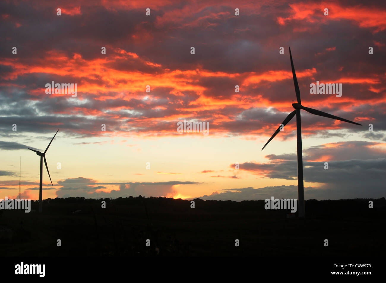 Wind turbines with a red sunset. Stock Photo