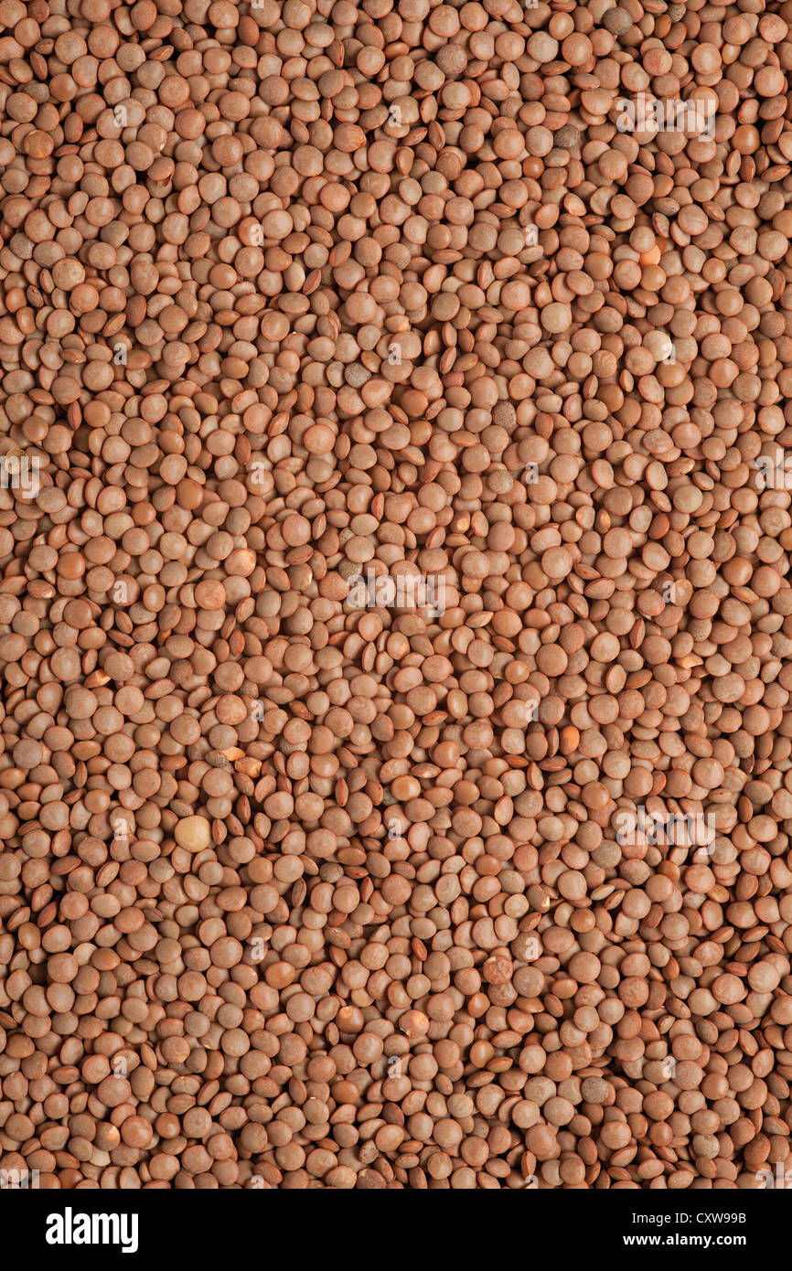 lentil seed background, brown grain food texture Stock Photo