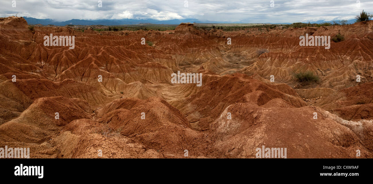 Tatacoa desert Colombia - El Cuzco area, Municipality Villaveija, Department Huila, Colombia Stock Photo