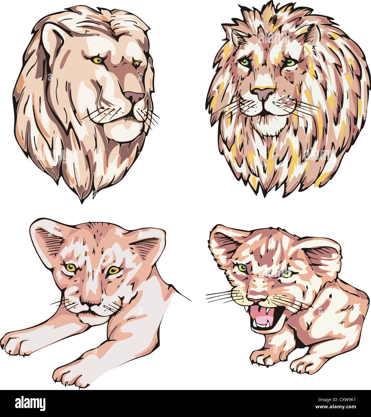 Heads of lions and lion cubs. Set of vector illustrations. Stock Photo