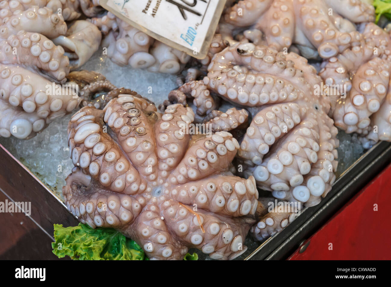 Fresh Octopus on sale, Rialto Market, Venice, Italy. Stock Photo