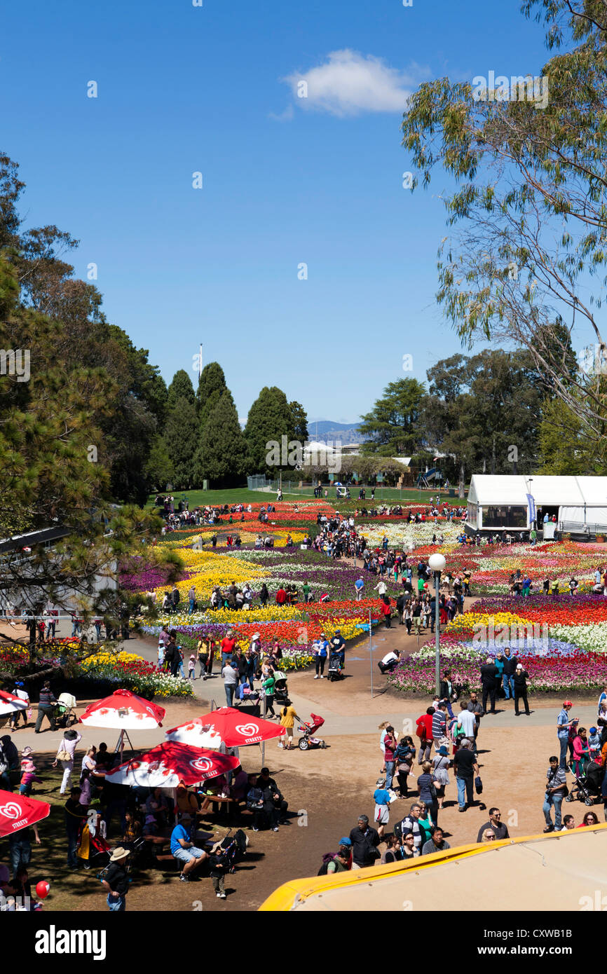 Aerial view over the garden beds at Floriade, Commonwealth Park
