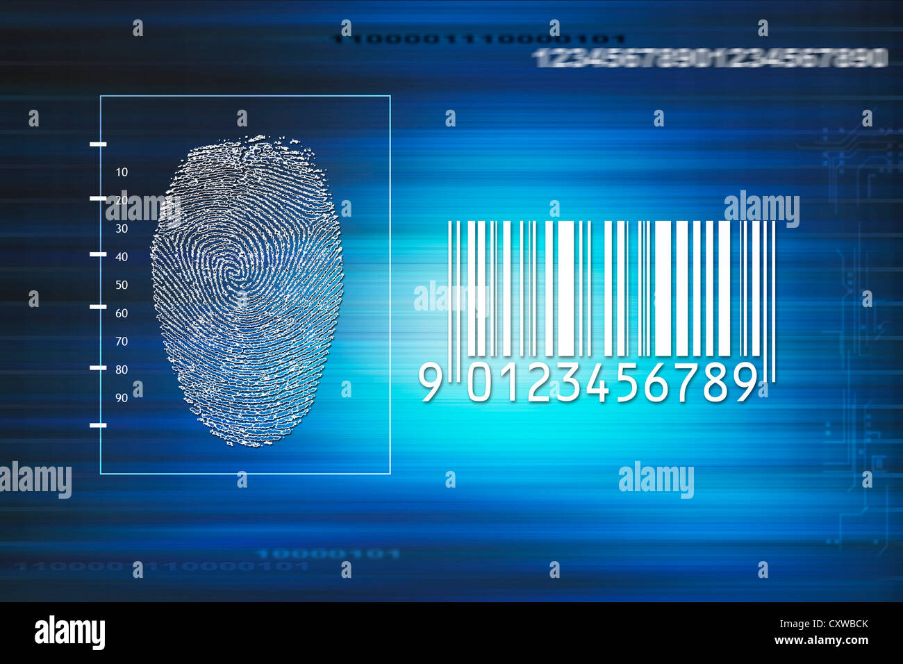 fingerprint a on screen, secure identity scan Stock Photo