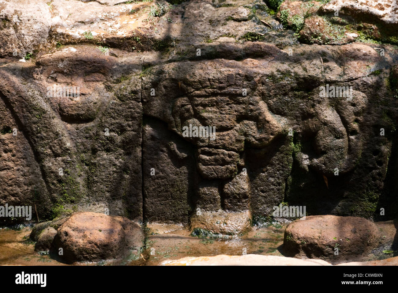 monkey head carvings (left) Fuente de Lavapatas , San Agustin, Archaeological Site, Colombia- possibly birthing pool Stock Photo