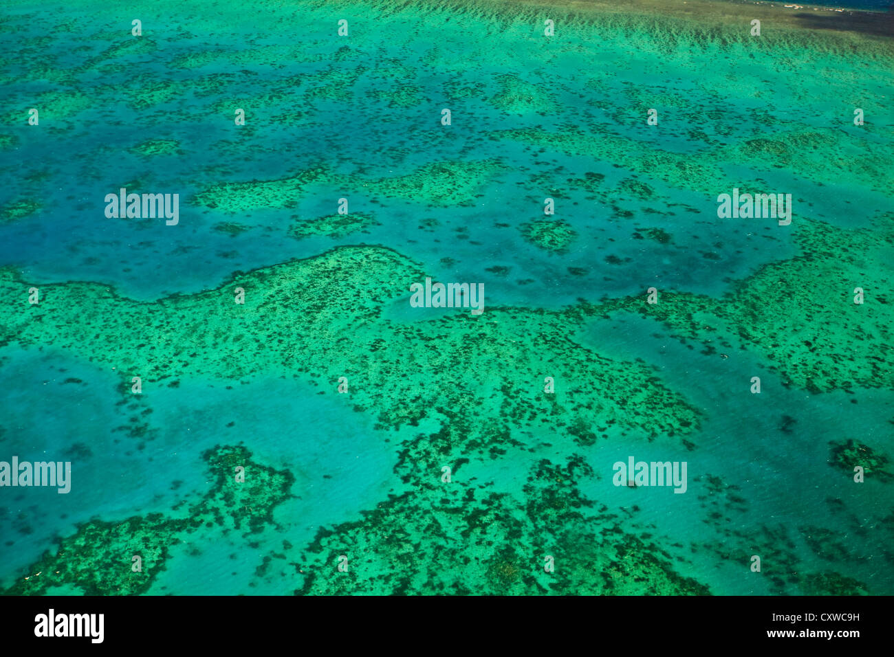 Aerial view of Arlington Reef brilliant coral formations underwater in the Great Barrier Reef Maine Park Australia Stock Photo