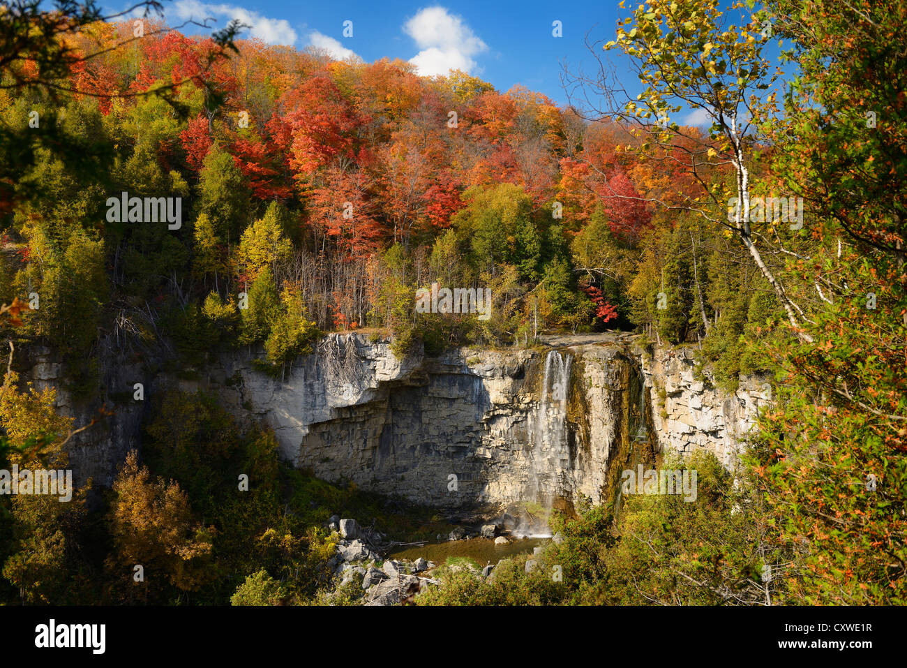 Fall colors at Eugenia Falls Gorge on the Beaver river Niagara Escarpment Ontario Canada Stock Photo