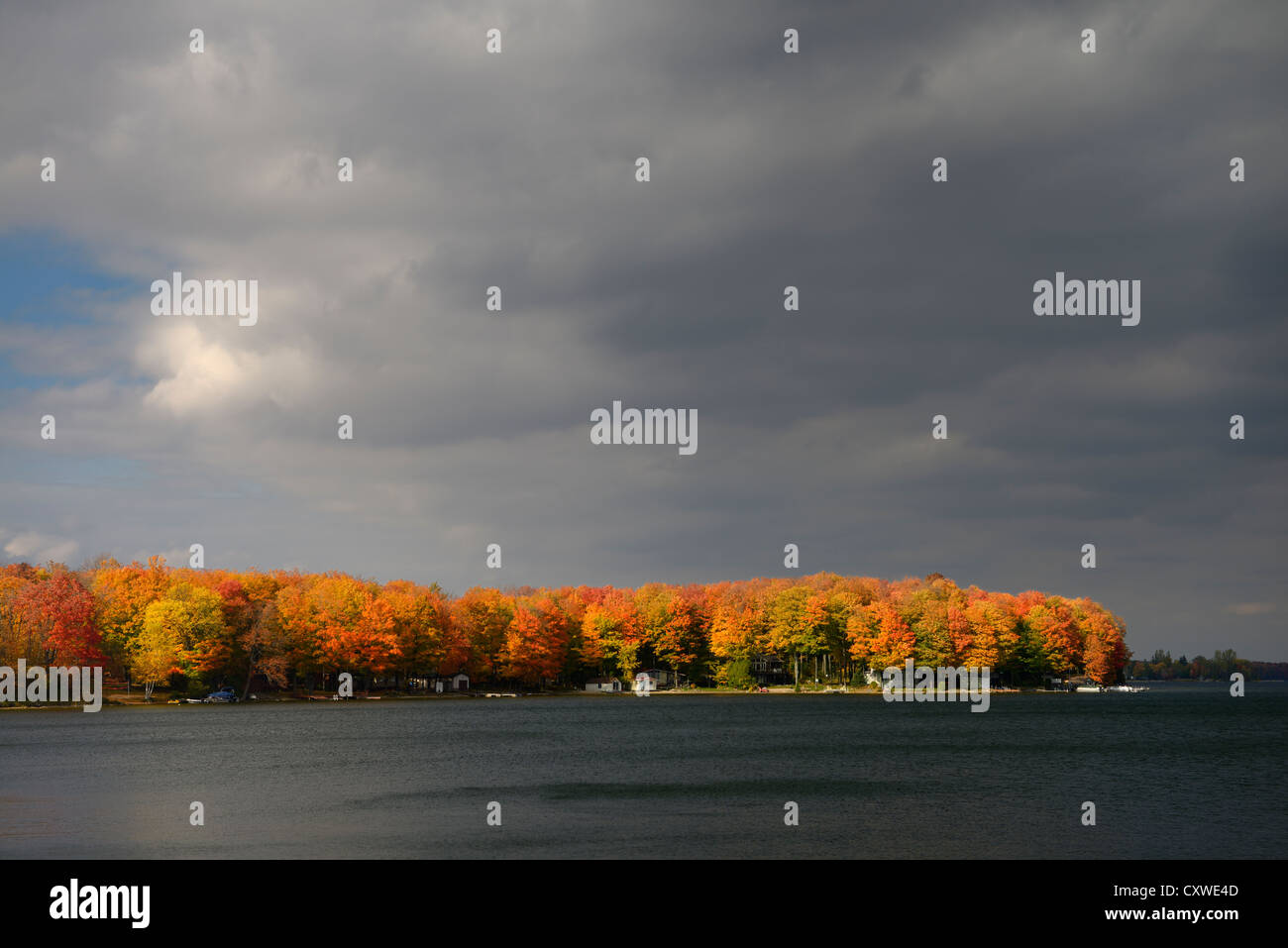 Cottages on Lake Eugenia Ontario Canada with bright red sidelit maple