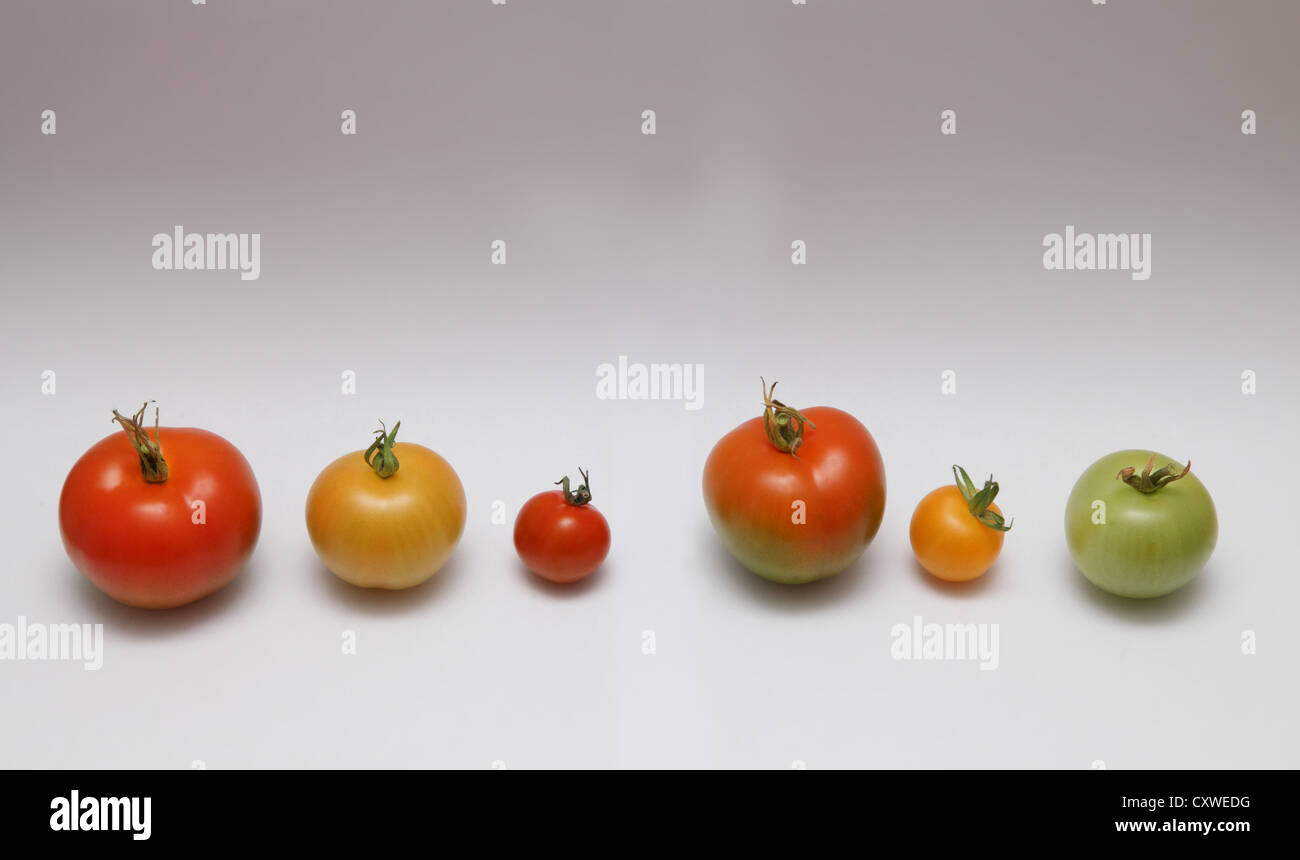 Different stages of ripeness hi-res stock photography and images - Alamy