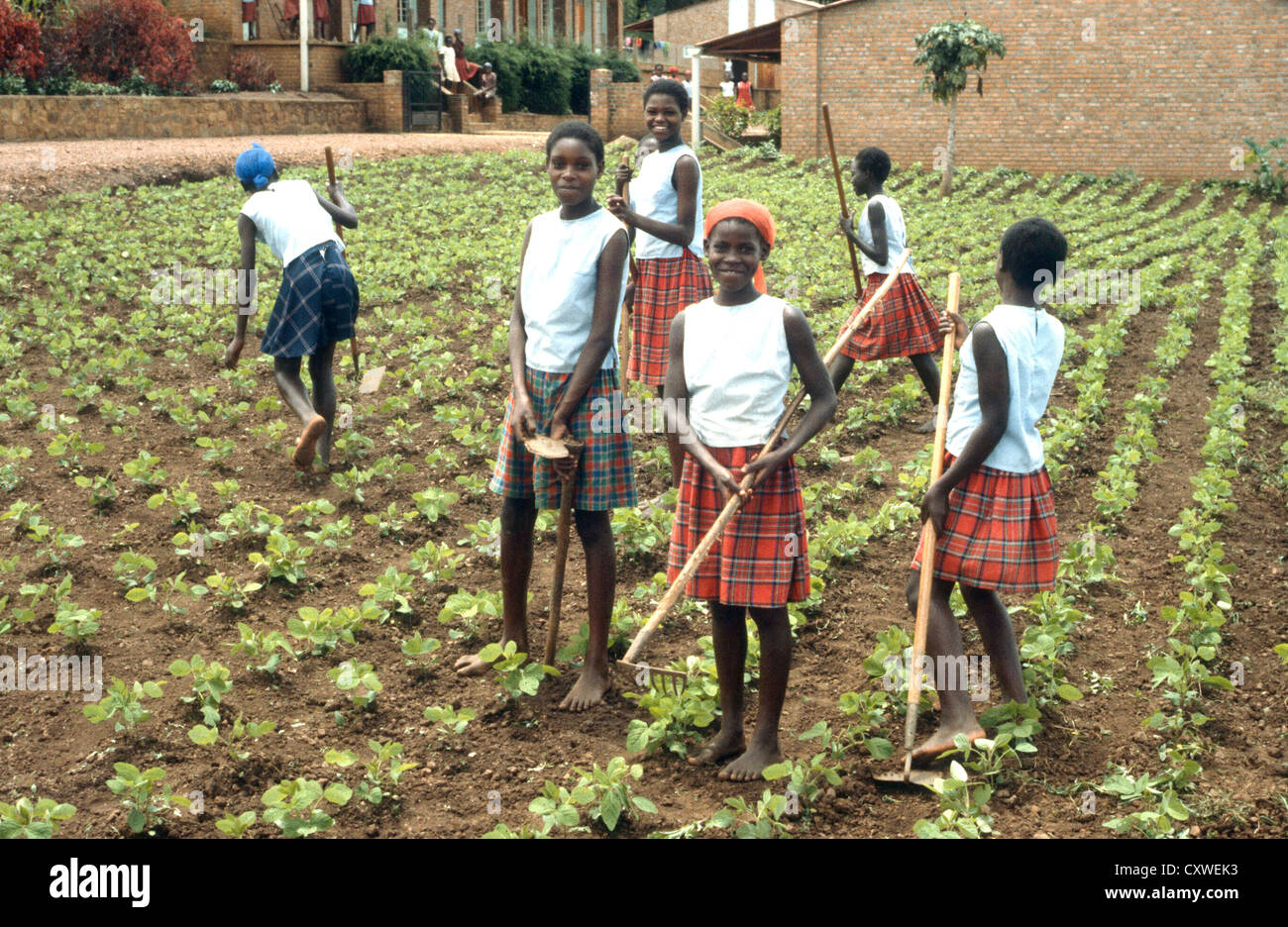 Well dressed School girls tend the garden at their school - Rwanda East Africa Stock Photo