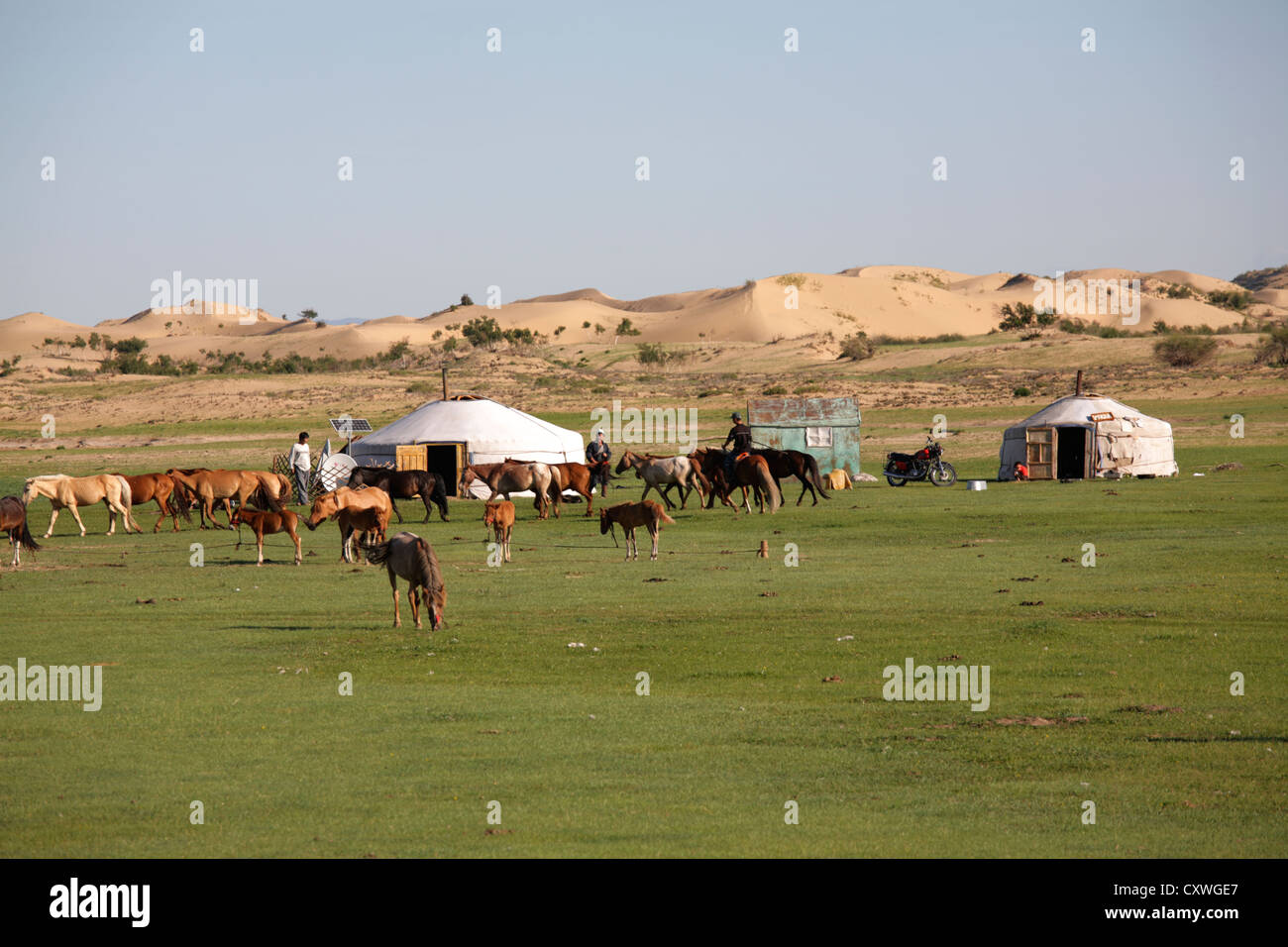 Traditional Gers in the steppe, Mongolia Stock Photo - Alamy