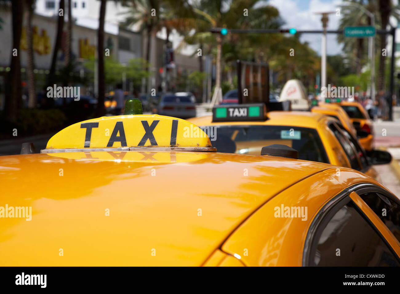 rooftop taxi sign on cab in row of yellow cab taxis in miami south