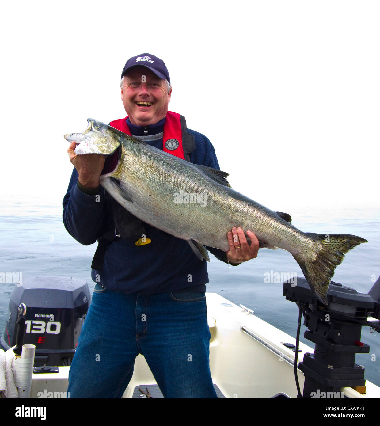 Fisherman holding a spring salmon (Chinook salmon) in this case it is also classified as a Tyee salmon as it is over 30lbs Stock Photo
