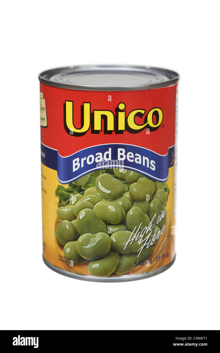 Broad Beans, Can, Canned, Tin of Fava Beans Stock Photo