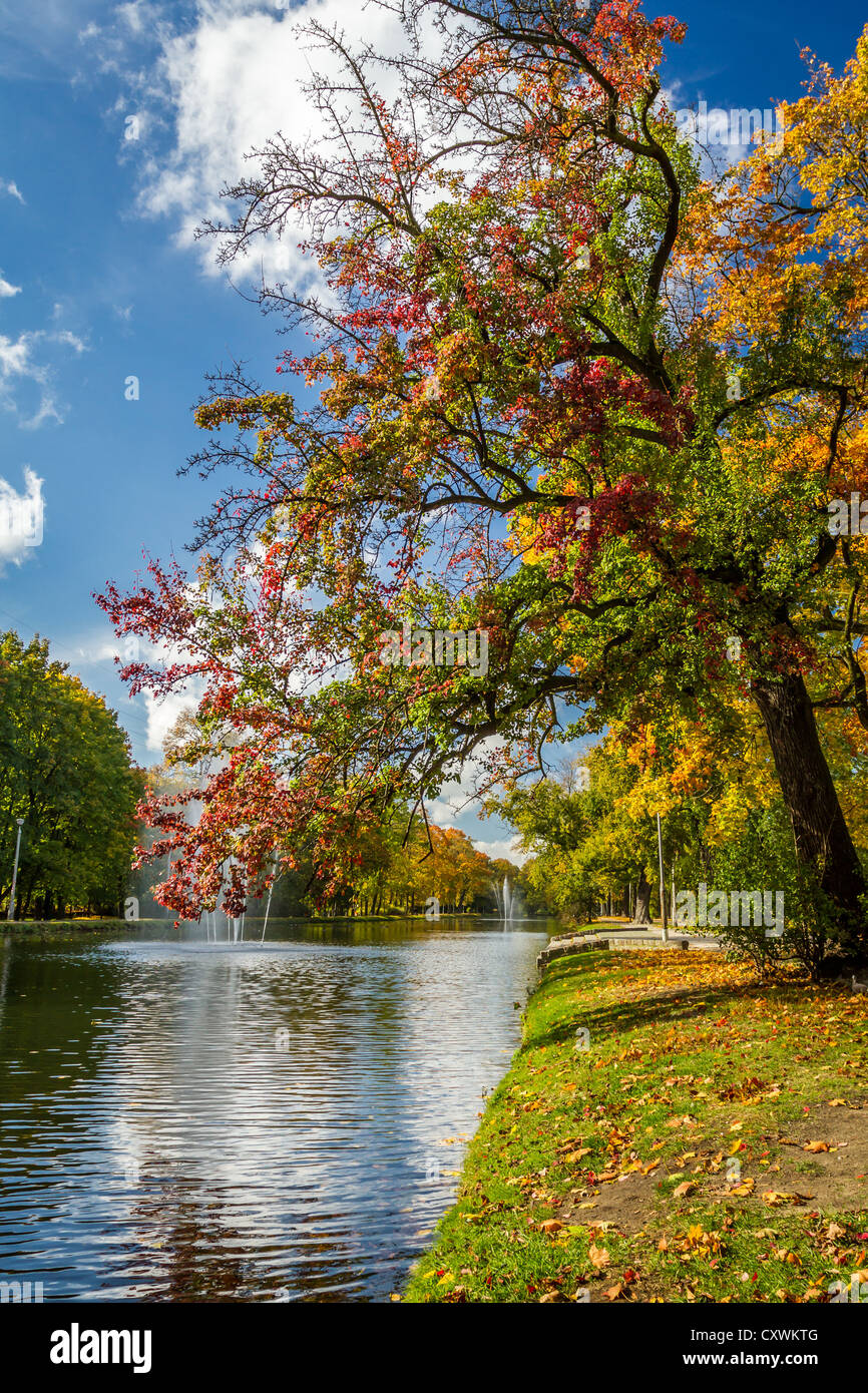 Colorful autumn trees in the park by the river Stock Photo - Alamy