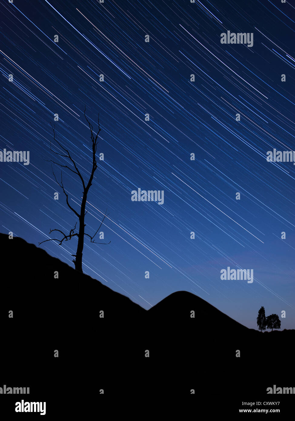 Night landscape with tree silhouette on a hill and sky background with startrails Stock Photo