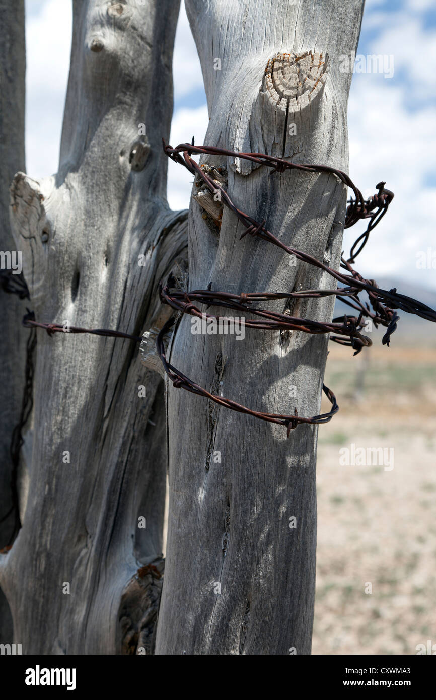 Fence post and barbed wire in eastern Nevada. Stock Photo