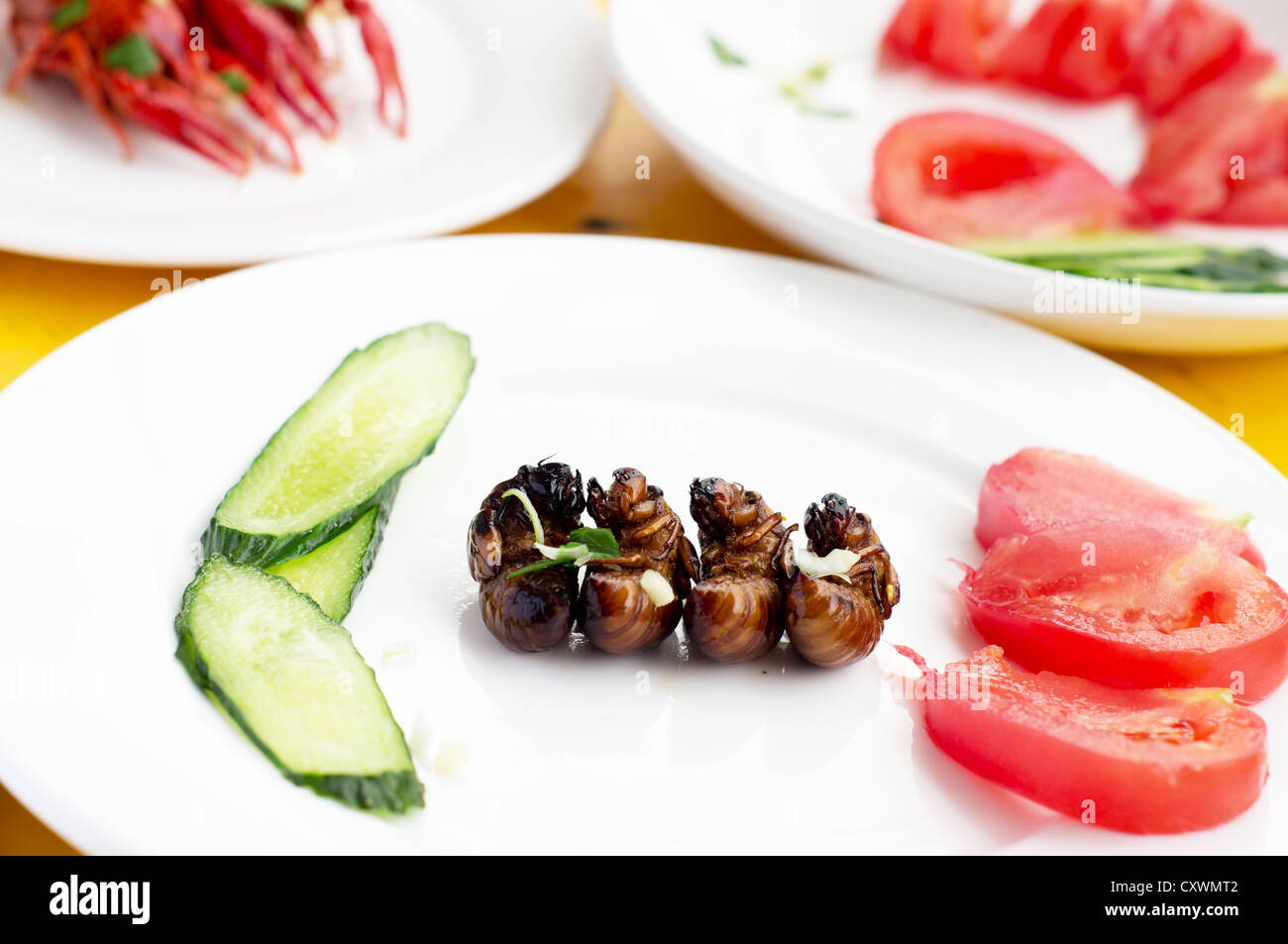 Fried cicada larvae, delicious Chinese food Stock Photo - Alamy