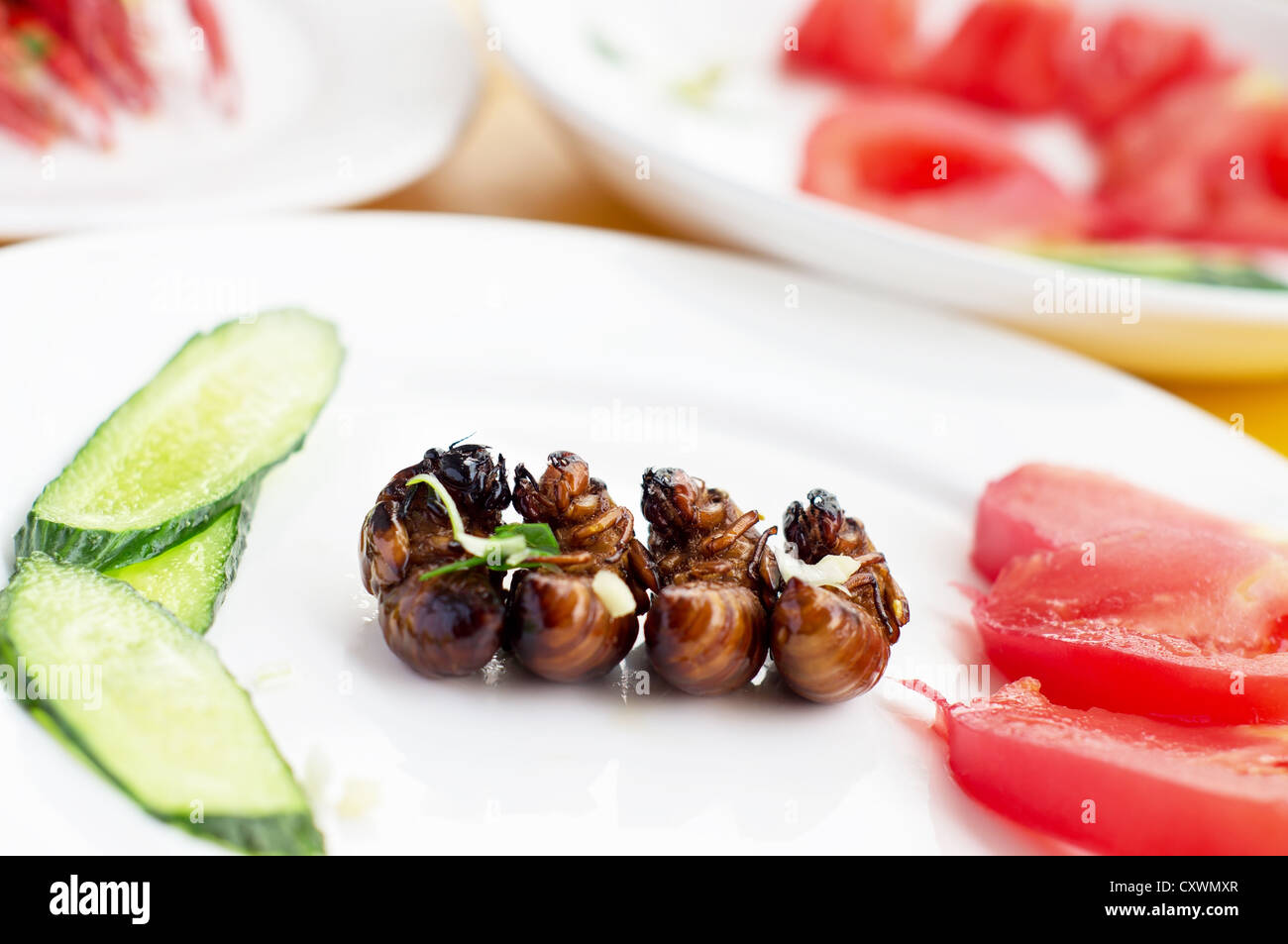 Fried cicada larvae, delicious Chinese food Stock Photo - Alamy