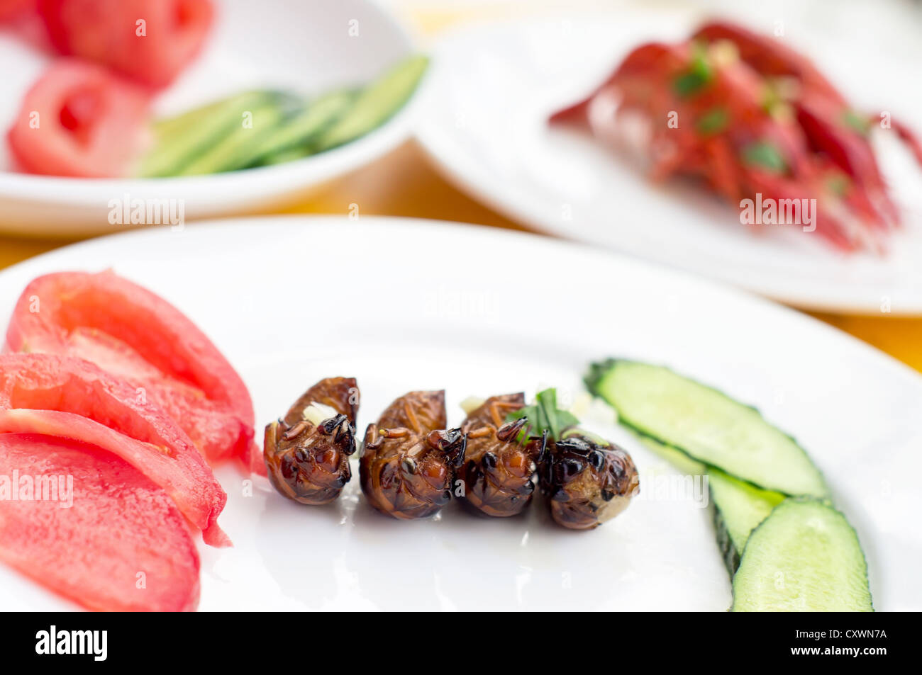 Fried cicada larvae, delicious Chinese food Stock Photo - Alamy