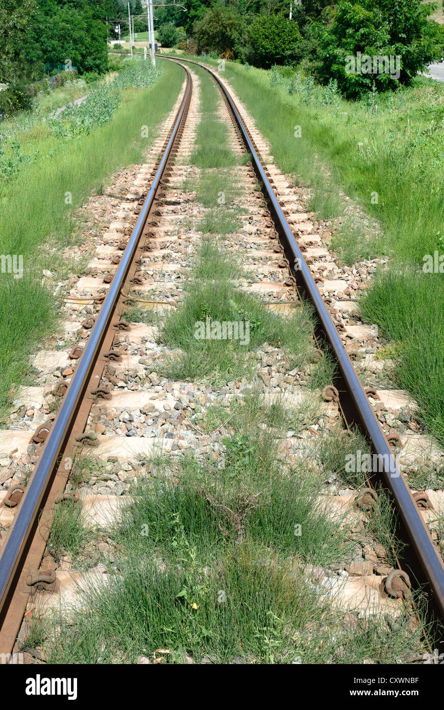 railroad tracks with grass Stock Photo Alamy