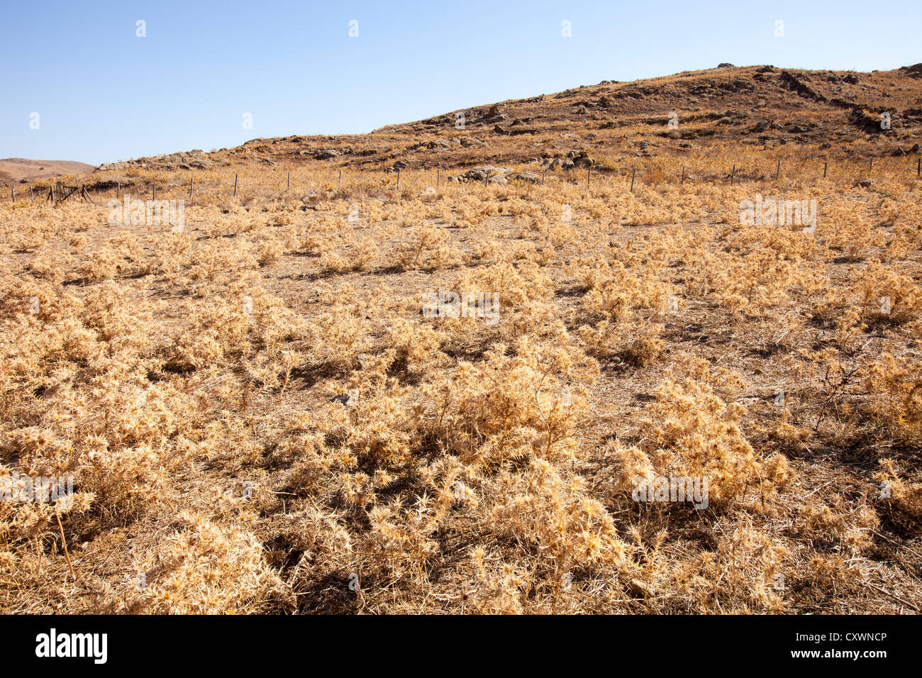Dried up farmland on Lemnos Greece. climate change is causing Sahara like hot dry conditions to spread into the Mediterranean. Stock Photo