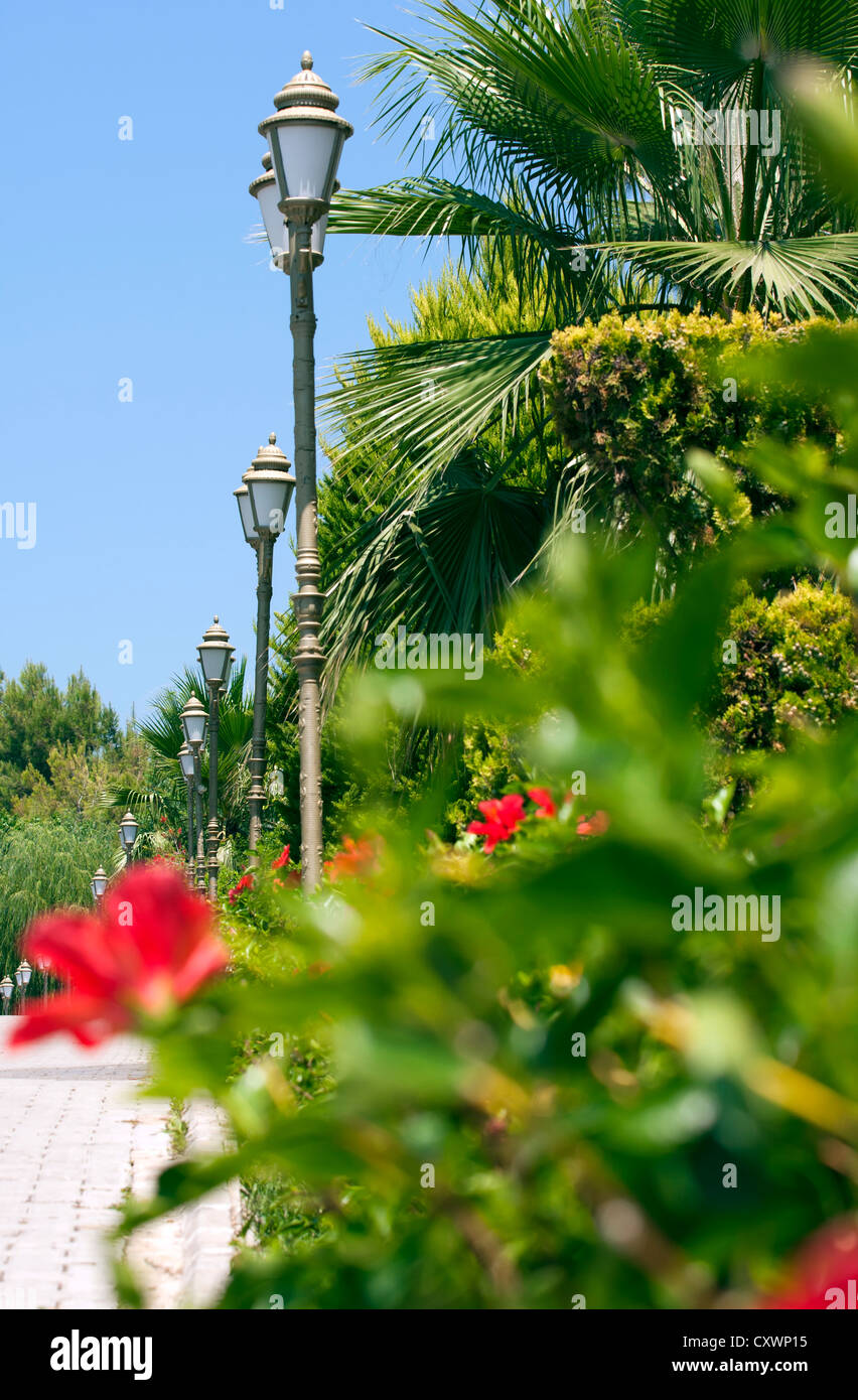 Street lamps by the palm trees. Stock Photo